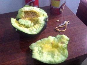 吃瓜吃籽新闻,吃瓜吃籽，揭秘瓜籽背后的秘密