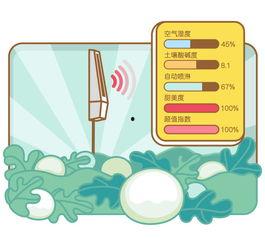 回家吃瓜的音乐,音乐中的夏日悠闲时光