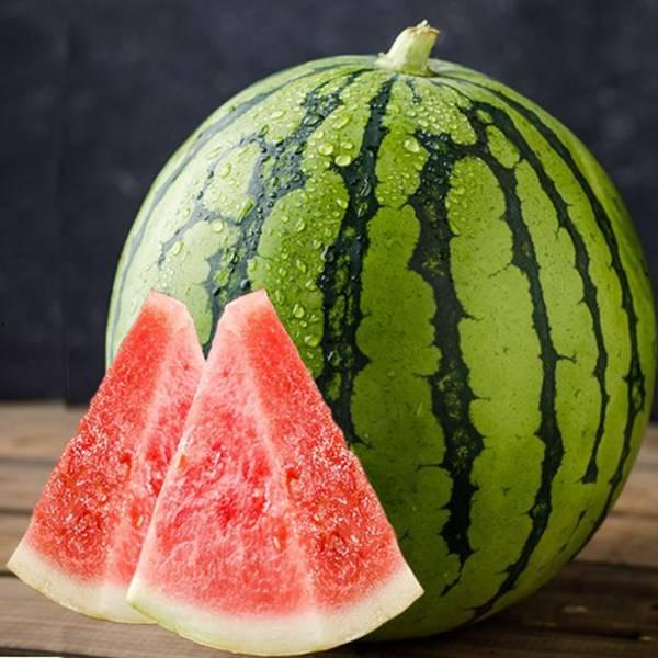 武陟吃瓜完整视频,一场视觉与味觉的双重盛宴