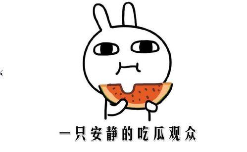 吃瓜事件的简介,揭秘网络舆论背后的真相与争议