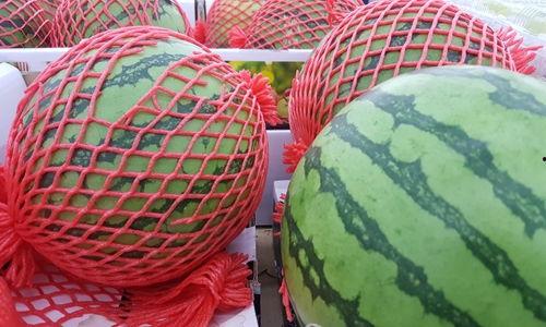 吃瓜严测,揭秘娱乐圈幕后真相，带你走进明星生活