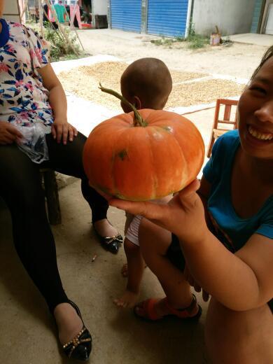 吃瓜布料,揭秘时尚界的“瓜皮”潮流