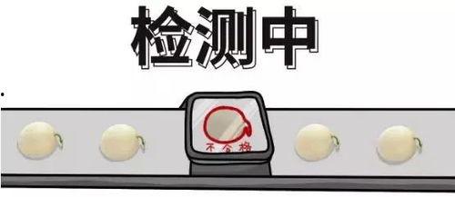 吃瓜群众总结,吃瓜群众视角下的娱乐圈风云录