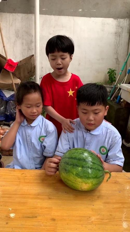 吃瓜麻烦,轻松应对娱乐圈风云变幻