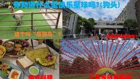 东郊记忆吃瓜,吃瓜群众的欢乐盛宴