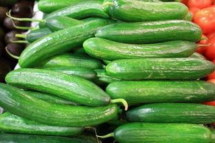绿瓜可以吃吗,揭秘其可食用之谜