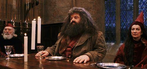 霍格沃茨的吃瓜人小说,揭秘魔法世界的八卦风云