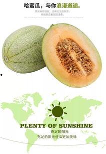 哈密瓜可以怎么做吃的,解锁夏日清新美味