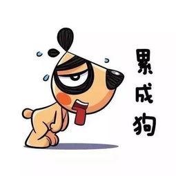 看书累了吃瓜视频,轻松一“瓜”乐无边