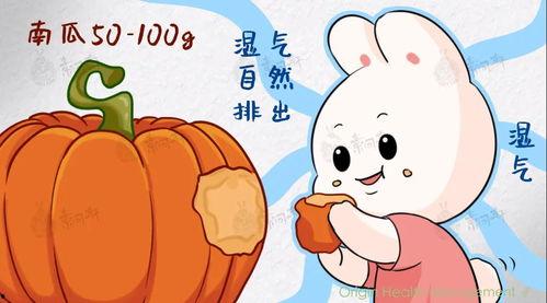 吃方瓜胀气,揭秘消化过程中的奇妙现象