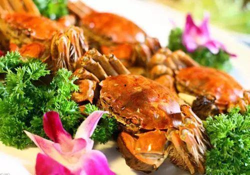 大螃蟹吃瓜,大螃蟹的瓜界探险记