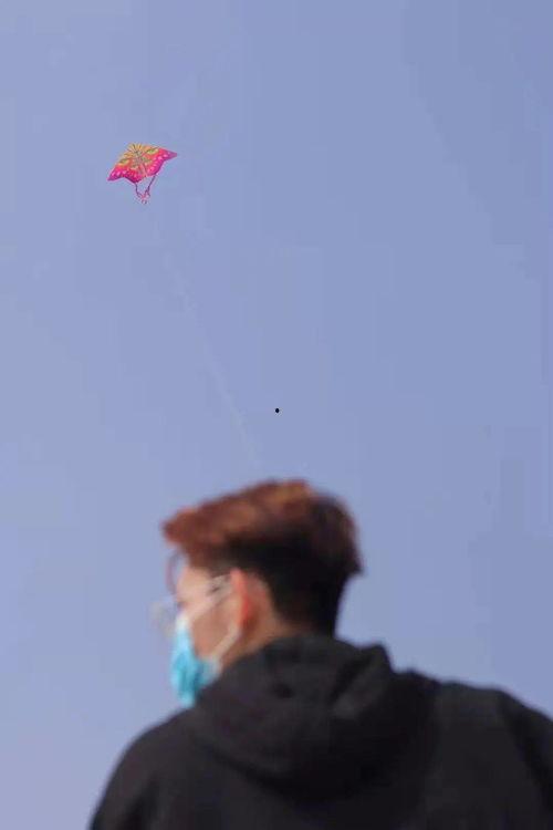 吃瓜追剧ing,揭秘热门剧集幕后故事