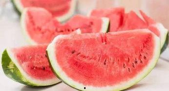 吃瓜衣,揭秘“吃瓜衣”背后的美食传奇