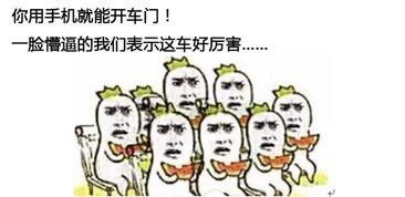 福克斯吃瓜群众,揭秘娱乐圈幕后风云