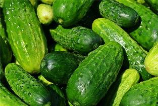 梦见弄瓜吃的,揭秘“弄瓜吃”的神秘寓意