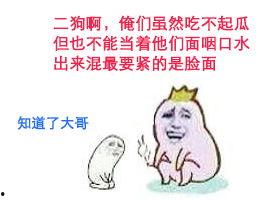 二狗吃瓜群众,揭秘网络舆论场的众生相