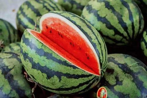 吃瓜涉及违法吗,揭秘吃瓜可能涉及的违法风险